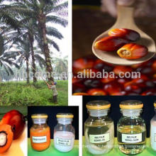 Blanchiment d&#39;huile de palme de 10T / H RBD, équipement de désodorisation, équipement de raffinerie d&#39;huile de palme